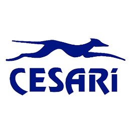 CESARI-removebg-preview